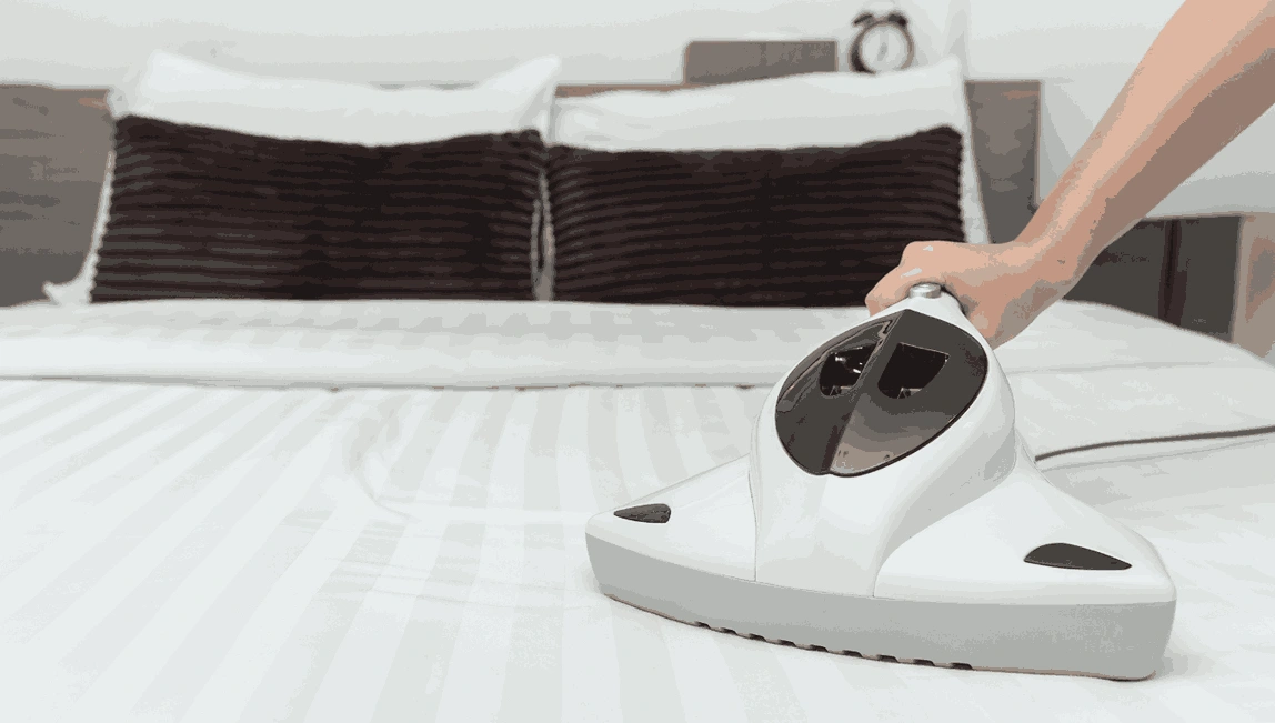 Professional Mattress Cleaning Healesville